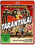Tarantula