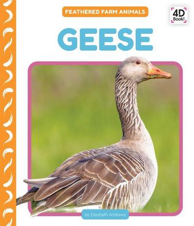 Geese