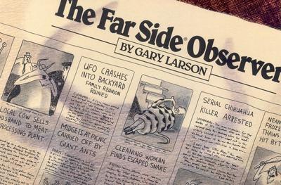 The Far Side® Observer