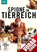 Spione im Tierreich