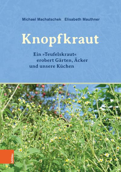 Das Knopfkraut