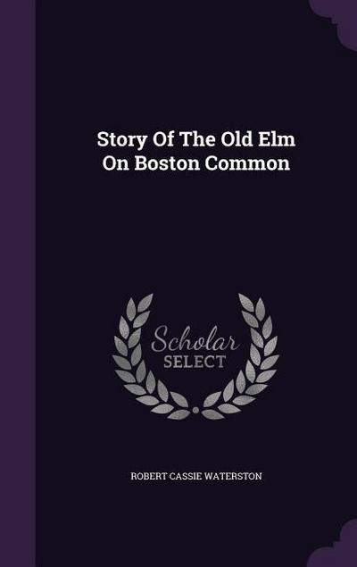 Story Of The Old Elm On Boston Common