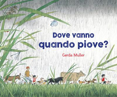 Muller, G: Dove vanno quando piove?