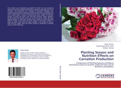 Planting Season and Nutrition Effects on Carnation Production