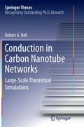 Conduction in Carbon Nanotube Networks
