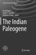 The Indian Paleogene