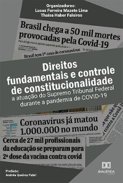 Direitos fundamentais e controle de constitucionalidade