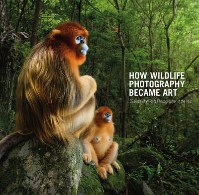 How Wildlife Photography Became Art
