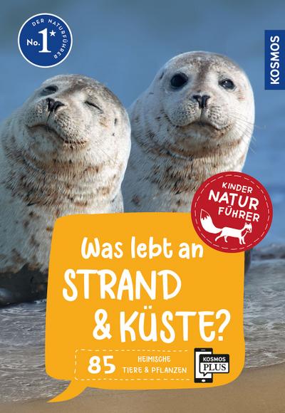 Was lebt an Strand und Küste?
