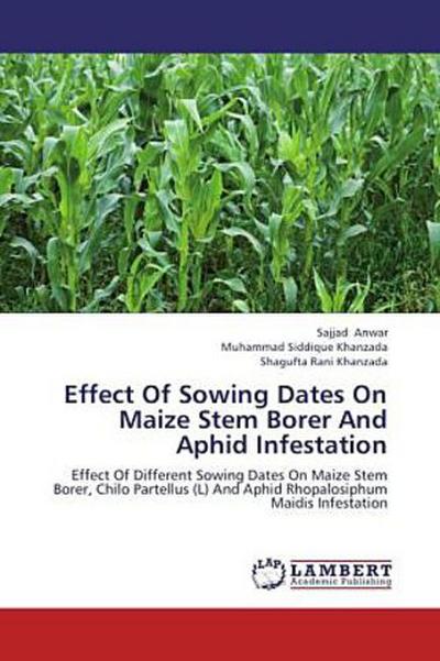 Effect Of Sowing Dates On Maize Stem Borer And Aphid Infestation
