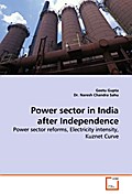 Power sector in India after Independence
