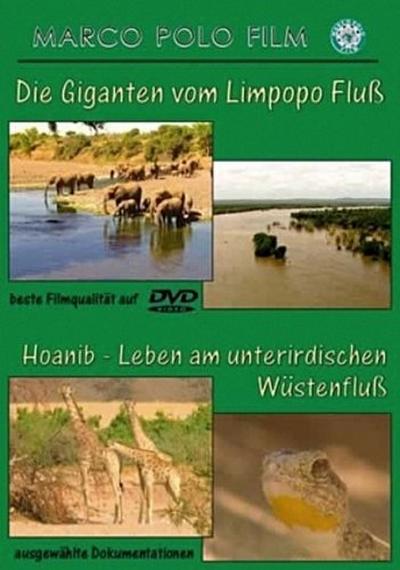 Giganten vom Limpopo Fluß/Hoanib-Leben am unterird