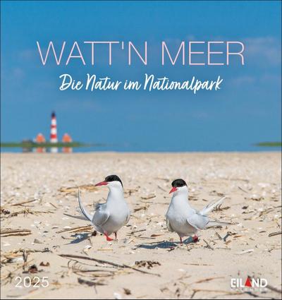 Watt’n Meer Postkartenkalender 2025 - Die Natur im Nationalpark