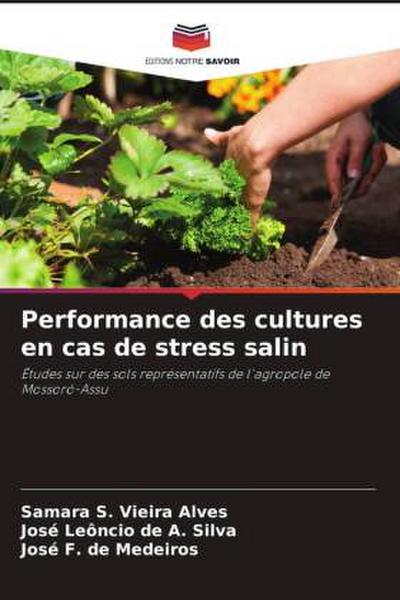 Performance des cultures en cas de stress salin