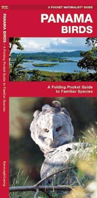 Panama Birds