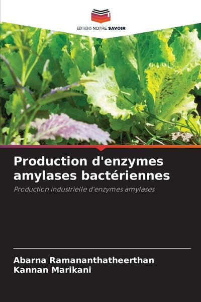 Production d’enzymes amylases bactériennes
