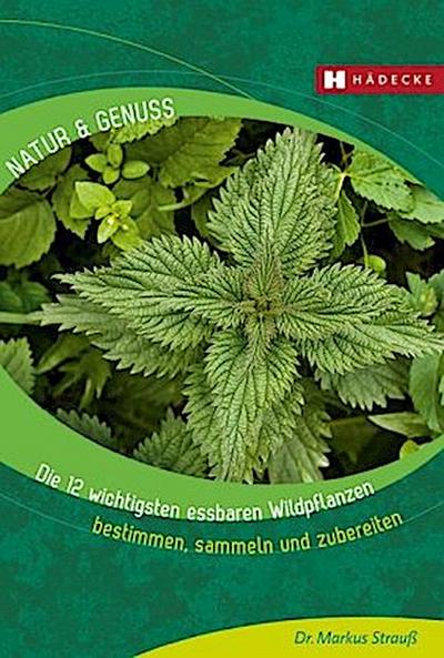Die 12 wichtigsten essbaren Wildpflanzen