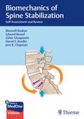 Biomechanics of Spine Stabilization