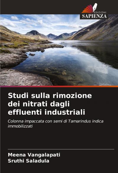Studi sulla rimozione dei nitrati dagli effluenti industriali