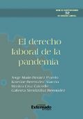 El derecho laboral de la pandemia