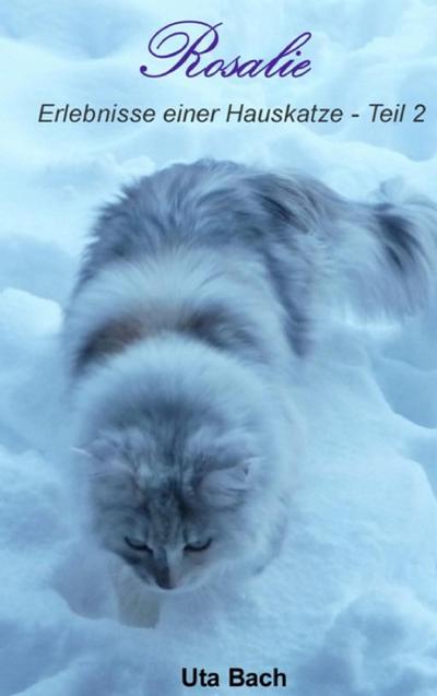 Leading Issues in E-Learning Research for Researchers, Teachers and Students