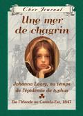 Cher Journal : Une mer de chagrin