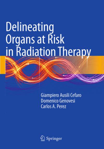Delineating Organs at Risk in Radiation Therapy