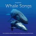 Whale Songs