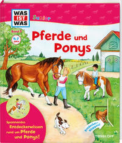 Pferde und Ponys