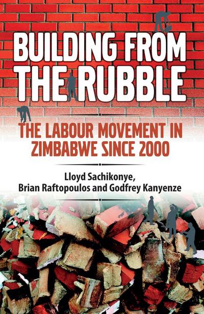 Sachikonye: Building from the Rubble