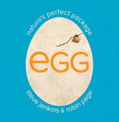 Egg: Nature’s Perfect Package