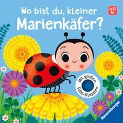 Wo bist du, kleiner Marienkäfer?