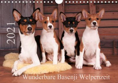 Wunderbare Basenji Welpenzeit (Wandkalender 2021 DIN A4 quer)