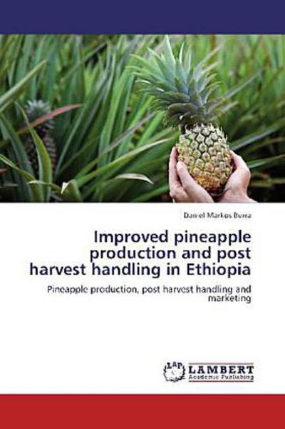 Improved pineapple production and post harvest handling in Ethiopia