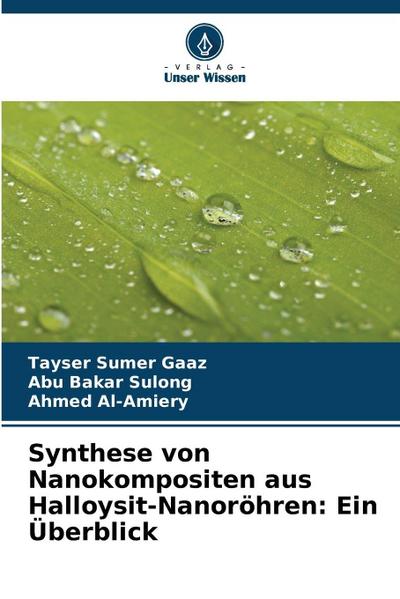 Synthese von Nanokompositen aus Halloysit-Nanoröhren: Ein Überblick