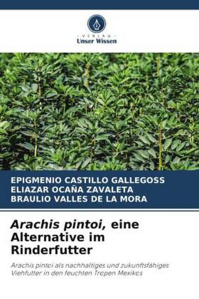 Arachis pintoi, eine Alternative im Rinderfutter
