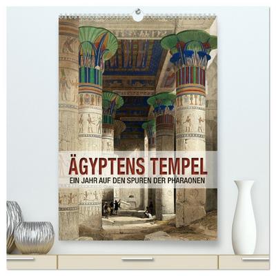 Ägyptens Tempel (hochwertiger Premium Wandkalender 2026 DIN A2 hoch), Kunstdruck in Hochglanz