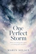 One Perfect Storm