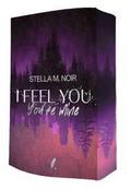 I Feel You - You’re Mine
