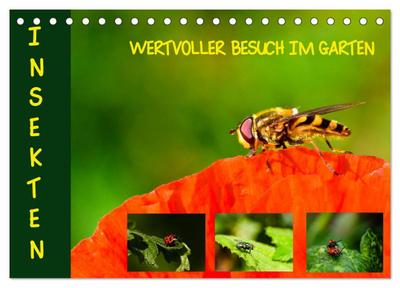Insekten - wertvolle Gäste im Garten (Tischkalender 2024 DIN A5 quer), CALVENDO Monatskalender