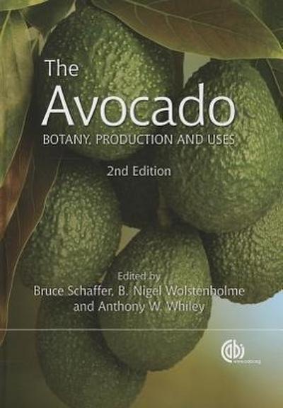 The Avocado