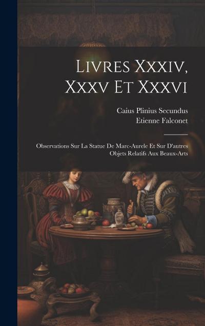 Livres Xxxiv, Xxxv Et Xxxvi: Observations Sur La Statue De Marc-aurele Et Sur D’autres Objets Relatifs Aux Beaux-arts