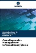 Grundlagen des Management-Informationssystems