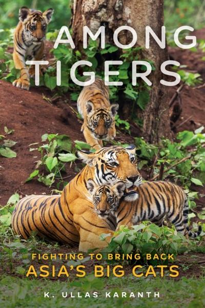 Among Tigers
