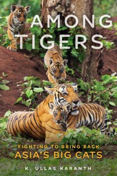 Among Tigers