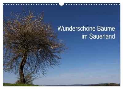 Wunderschöne Bäume im Sauerland (Wandkalender 2026 DIN A3 quer), CALVENDO Monatskalender