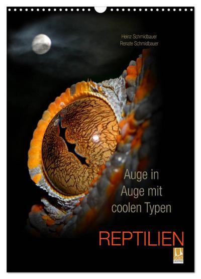Auge in Auge mit coolen Typen - REPTILIEN (Wandkalender 2026 DIN A3 hoch), CALVENDO Monatskalender