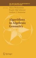 Algorithms in Algebraic Geometry