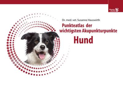 Punkteatlas der wichtigsten Akupunkturpunkte - Hund
