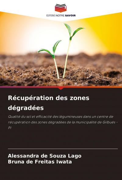 Récupération des zones dégradées